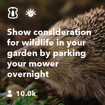 Show consideration for wildlife in your garden by parking your mower overnight